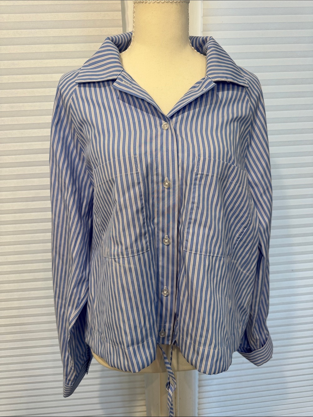 LNA Blue & White Striped Button-Down Shirt MK1320
